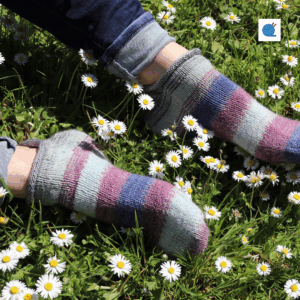 patron défi chaussettes