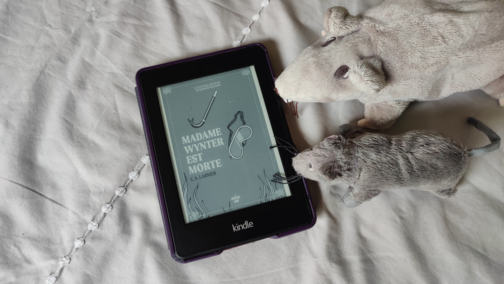 livres cosy mystery